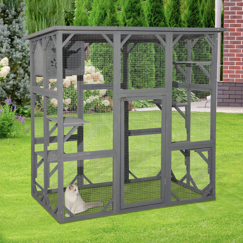 JOVNO Catio Outdoor Cat Playpen & Reviews Wayfair